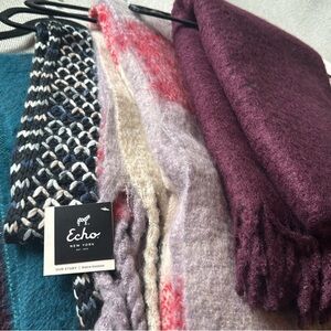 Echo and Women's Elegant Scarf Collection in variety of colors